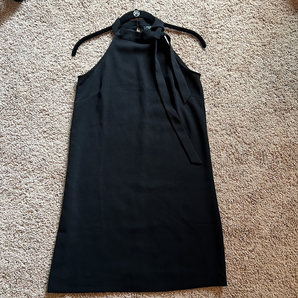 Ann Taylor Dress